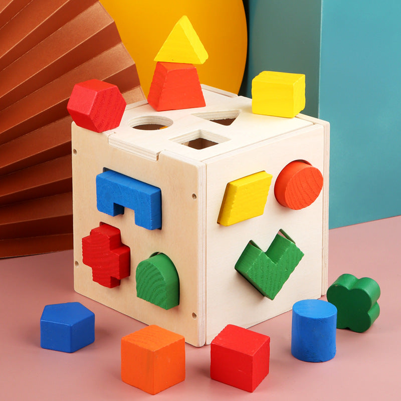 Montessori Puzzle Cube