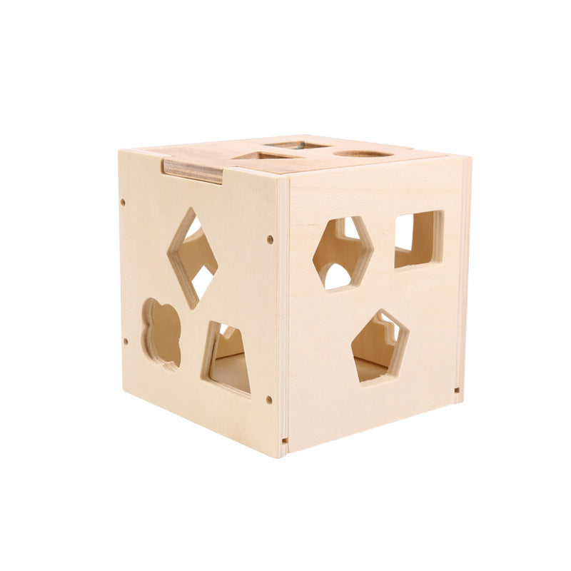 Montessori Puzzle Cube