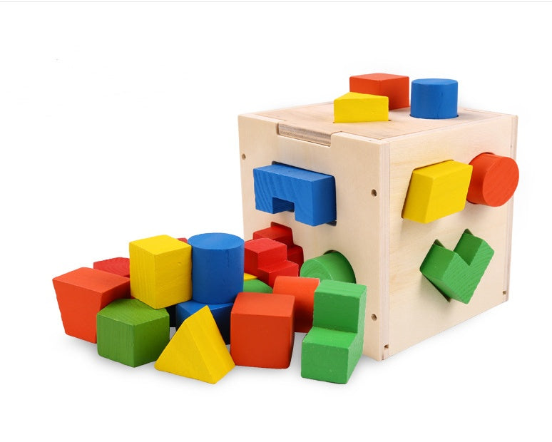 Montessori Puzzle Cube
